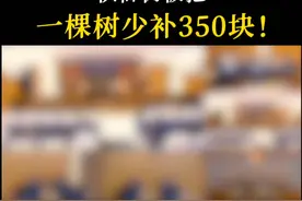 一棵成果期的槟榔树，就只给补60块钱？ #土地征收 #征收补偿 #行政诉讼视频封面