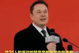 美政府效率部上演潜伏大戏，21名员工集体跳反，马斯克有麻烦视频封面