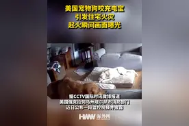 美国宠物狗咬充电宝引发住宅火灾 起火瞬间画面曝光视频封面