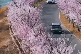 好消息！即日起，石家庄滹沱河艺术生态岛推出惠民服务，市民可以预约免费入园啦！ #石家庄滹沱河艺术生态岛预约免费入园视频封面