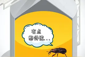 粮仓里储存了那么多大米，是怎么预防长虫的呢？看高科技储粮技术！#三农小知识视频封面