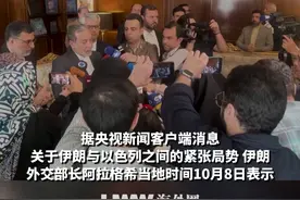 伊朗外长：伊武装力量已做好准备 标定所有必要打击目标视频封面