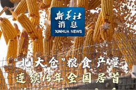 新华社消息｜“北大仓”粮食产量连续15年全国居首 首次突破1600亿斤视频封面