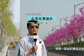 3月25日，江苏省首条紫荆大道——南京浦口大道迎来紫荆盛花期视频封面