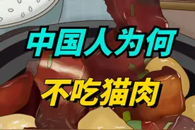 中国人为什么不吃猫肉？李时珍早就试过了，劝你还是管住嘴视频封面