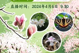 清明长假何处去，不如相约直播间。4月6日上午9：30，我们将与@江苏生态环境 共同开展“春赏百花”科普直播，带大家探寻宝华玉兰、南京椴、秤锤树等稀有植物，介绍江苏生物多样性本底调查情况和保护措施，探讨植物生长特点及保护意义。邀你和我们一起完美避开拥挤人潮，来一场与繁花的浪漫邂逅吧！#我与自然有约视频封面