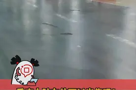 重庆人防车位可以出售吗？ 网民称买到人防车位想退款 区住建委：可以进行销售视频封面