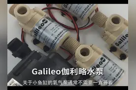 小鱼缸的氧气泵用一直开着吗视频封面