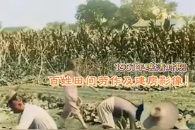 1901年晚清时期，清朝农民干活影像，大人小孩都看似十分强壮视频封面