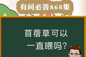 兔子可以一直吃苜蓿草吗？#宠物兔
