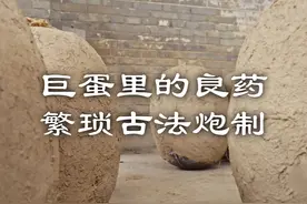 巨蛋炼药，乾隆亲自命名 #定坤丹 #中药视频封面
