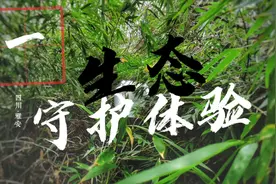 平安普惠员工生态守护体验Vlog1 |视频封面