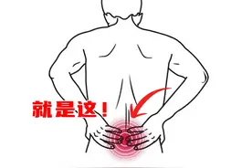 腰不舒服的根本原因！6个训练帮助缓解腰痛 #腰痛 #日常训练视频封面