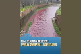 4月26日（采访），广东深圳，路人拍到水流颜色变红，环境生态保护局：已经核实过了，水变红是因为放的示踪剂