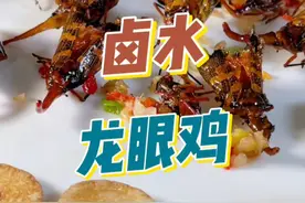在粤菜里，昆虫也是可以进食，这款龙眼鸡你们吃过吗 #龙眼鸡 #昆虫美食 #粤菜美食 #美食分享 #美食推荐视频封面