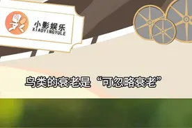 原来鸟类的衰老是“可忽略衰老”就好比你一直保持着18岁健康、活力、美丽的身体，活到了80岁，然后突然噶了！#鸟类 #冷知识  #神奇动物在抖音 #自然科普 #可忽略衰老视频封面