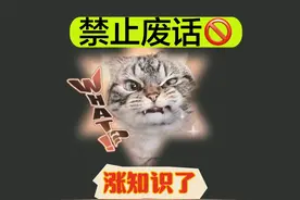 禁止废话：喜欢抖腿的人的心理是什么样？涨知识了#知识视频封面