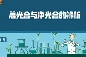 57 总光合与净光合的辨析视频封面