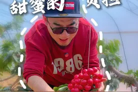 春天的甜蜜是大连樱桃给的！ #叁叔日记 #新农人计划2025 #沉醉在春日的田野里 #乡野春日地图 #尝一口春天的味道视频封面