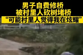 唉，小编想到一句话“要致富先修路”！#男子自费修桥被村里人砍树堵桥 #社会百态 #乡村振兴 视频封面