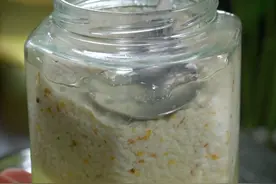 万万没想到，把糯米发在电饭锅里煮一下，两天就能做出香甜不醉人的桂花米酒#自制甜酒酿视频封面