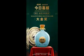 白酒快讯，荷花酒荣获白酒界—布鲁塞尔国际烈性酒大奖赛“大金奖视频封面