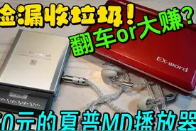 【捡垃圾】50元捡的夏普MD播放器！电子垃圾还是捡大漏？视频封面