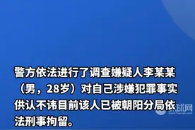 北京朝阳警方通报：李某某酒后砸车被刑拘