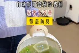 客厅垃圾桶 将垃圾袋自动吸附在垃圾桶内 好看又实用#客厅垃圾桶视频封面