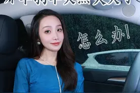 开车的时候，要是刹车失灵了你会怎么做?#行车安全 #汽车知识 #刹车失灵视频封面