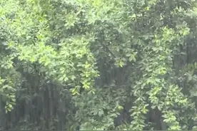 重庆气温即将打“骨折”！明天傍晚起强降温降雨来袭，#重庆日平均气温将下降10到14℃  ，大家要注意防范！#重庆dou知道 #烟火山城视频封面