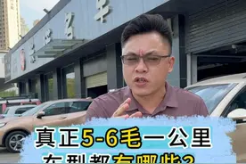 真正5-6毛一公里车型都有哪些？ #二手车   #说车聊车    #练手代步车   #抖音汽车  #油耗视频封面