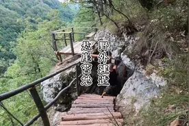 带着狗子在野外悬崖边建造实木营地，这个是合集完整版...视频封面