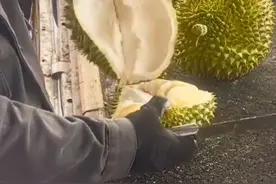 #山东路边摊低价卖榴莲必须去壳 ？ 结果发现……提醒去正规商店购买。