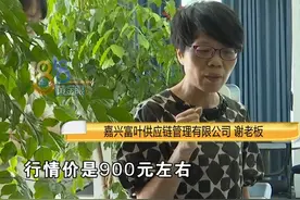10万买的榴莲多数发霉（二）水果市场卖处理货？市场方称：水果交易市场是自己自由买卖的，而市场监管部门表示，要按照食品安全法，符合食品安全法#浙江dou知道  #榴莲  #嘉兴视频封面
