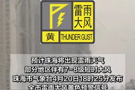#珠海 全市雷雨大风黄色预警信号已生效，大家做好防御。#雷雨  #天气视频封面
