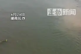 长沙松雅湖疑因暴雨天气，造成水中缺氧 大鱼不断跃出水面，这一刻 鱼跃龙门具象化了#湖南长沙 #暴雨过后 #热点 （来源：@媛儿媛呀 ）视频封面