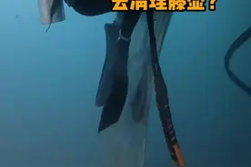 为什么需要潜水员清理轮船上的藤壶呢？ #科普  #解压  #轮船  #藤壶  #冷知识视频封面