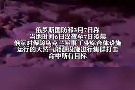 俄罗斯国防部:对乌进行集群打击命中所有目标 泽连斯基提议与俄实现空中和海上停火 乌外交部发言人:仍准备与美国达成矿产资源协议视频封面