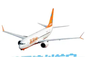 韩国济州航空空难调查结果来了，结论让人很无语 #韩国济州航空空难 #空难 #空难调查 #内容启发搜索