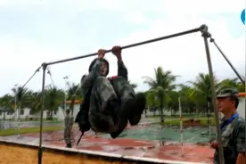 陆军某海防旅组织“琼崖尖兵”群众性比武活动（ 谌通  谭煜嵩视频封面