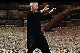 如果没有这位物理学家，太极推手恐怕还要被误解很多年吧 #太极拳 #传统武术视频封面
