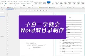 小白也能学会！Word双目录制作全攻略！ #从零学会标书排版视频封面