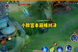 小胖巅峰对决再现宫本，全局指挥操作拉满#狼队小胖 #巅峰赛视频封面