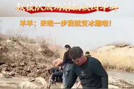 #安迪尔乡 #救援 队成功解救#被困羊群 #正能量视频封面