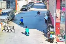 野猪突然出现在居民区
踏板车小孩机智躲避
一位母亲为保护孩子被撞倒
经报警野猪已被制服视频封面