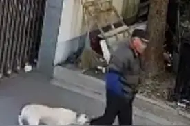 91岁老人走路时被未栓绳狗咬伤？网友: 这狗偷偷跟着 突然偷袭 可恶!#社会百态 #狗 #危险瞬间视频封面
