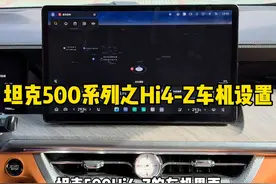 坦克500HI4-Z车型的车机设置，你学会了吗？ #坦克500 #坦克500hi4z一定红 #坦克500Hi4z到底有多强 #坦克500Hi4z长测真实体验