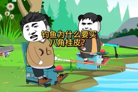 钓鱼为什么要买八角桂皮？ #钓鱼 #钓鱼人 #钓鱼人就是这么疯狂视频封面