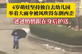 又感动又喜感！4岁萌娃坚持独自去幼儿园，举着大雨伞被风吹得东倒西歪，爸爸悄悄跟在身后护送。成长就是父母慢慢看着孩子越走越稳，越走越高大，越走越远。（来源@蕾 ）视频封面